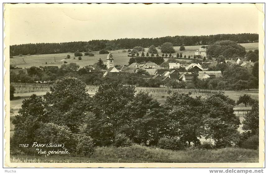 Fahy Vue Générale - Fahy