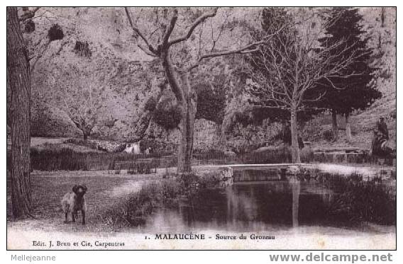 Cpa Malaucene (84) Source Du Grozeau , Petite Animation , 1911 - Malaucene
