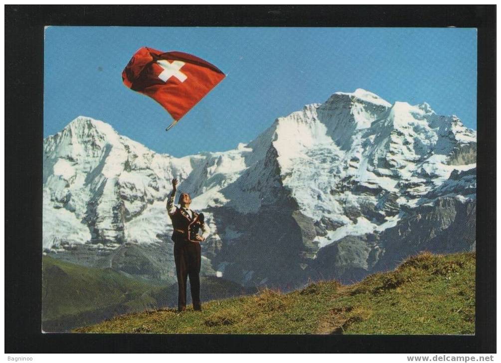 PAHNENSCHWINGER Postcard SWITZERLAND - Alpinismo