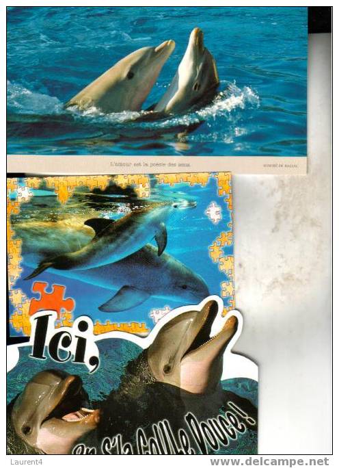 3 Dolphin Postcards - 3 Carte De Dauphins - Dauphins