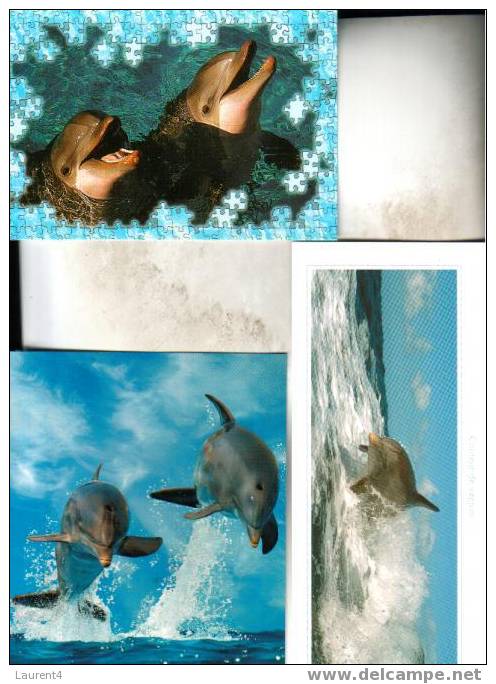 3 Dolphin Postcards - 3 Carte De Dauphins - Dolfijnen