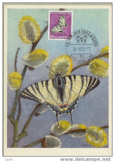 PAPILLON Carte Avec Timbre Et Tampon(avec Un Papillon Sur Le Tampon) / Dessin Signé C.Zelina - Papillons