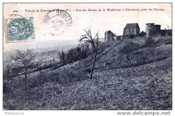 Cpa Vallée De Chevreuse (78) Vue Des Ruines De La Madeleine à Chevreuse , Prise Du Claireau - Chevreuse