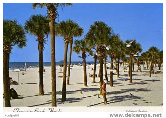 Clearwater Beach - La Plage - Clearwater