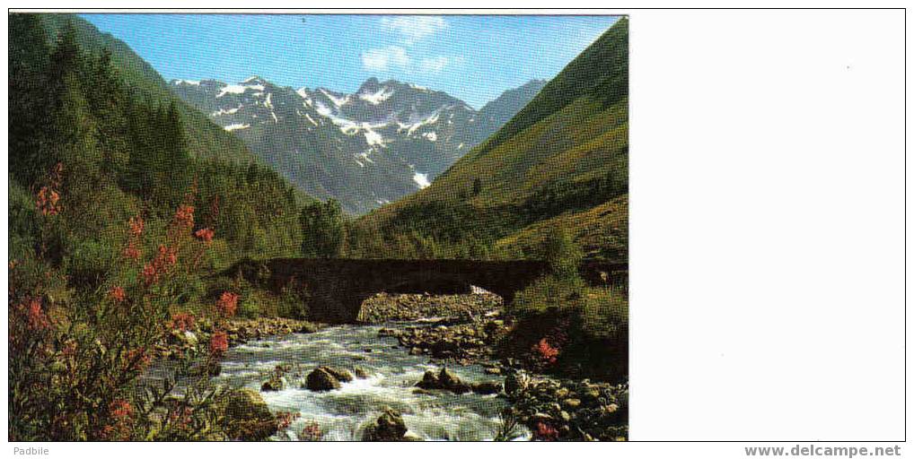 Carte Postale Site Pittoresque Au Bord D'un Torrent - Serre Chevalier