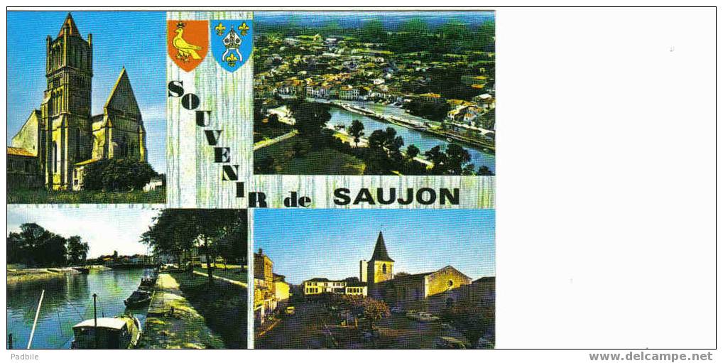 Carte Postale Saujon - Saujon