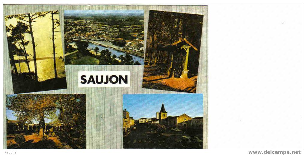 Carte Postale Saujon - Saujon