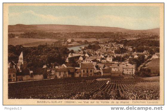 Vue Sur La Vallée De La Marne Collection Lavarde - Mareuil-sur-Ay