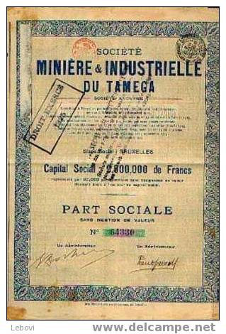 BRUXELLES "Soc. Minière & Industrielle Du TAMEGA Sa" - Part Socale - Capital : 9.000.000 Fr - Industrie