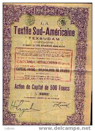 RENAIX "La Textile Sud-amércaine TEXSUDAM Sa" - Action De Capital De 500 Fr - Textiel