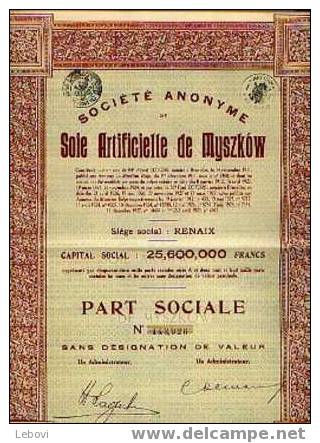 RENAIX "SA De Soie Artificielle De MYSZKOW" - Capital Social - 25.600.000 Francs - Textil