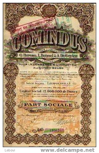 ELISABETHVILLE "Comindus - Nouvelle Soc.pour Le Commerce Et L´industrie Au Congo Belge" - Part Sociale - Industrie