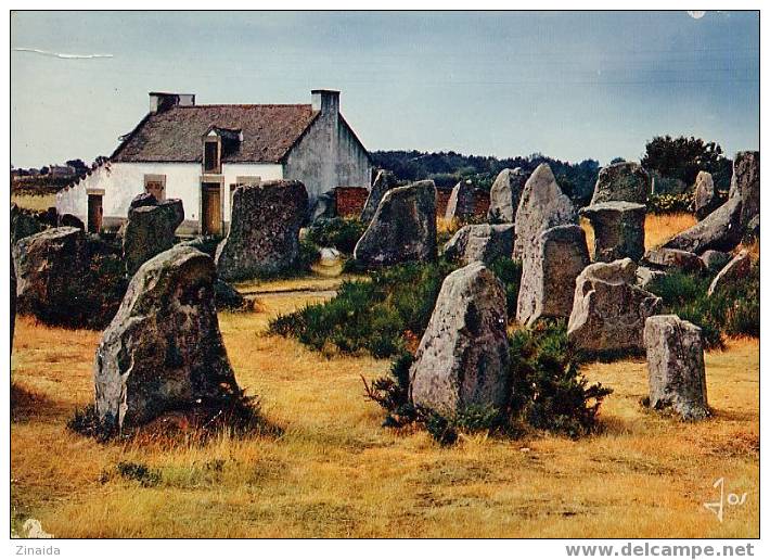 CARTE POSTALE DE CARNAC - Dolmen & Menhire