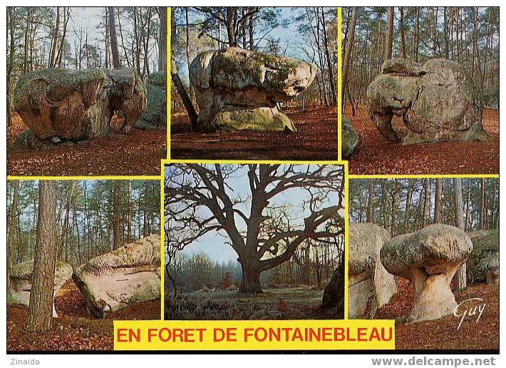 CARTE POSTALE - EN FORËT DE FONTAINEBLEAU - Dolmen & Menhire