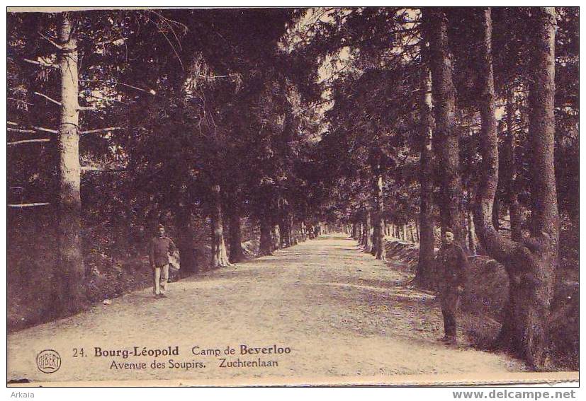 BOURG LEOPOLD = Avenue Des Soupirs = Animée (edit. Albert  N° 24) Vierge - Leopoldsburg