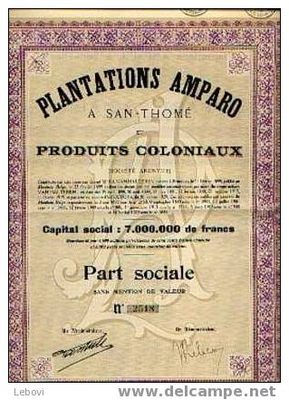 BRUXELLES "Plantations Amparo à SAN-THOME Et Produits Coloniaux" - Part Sociale - Agricoltura