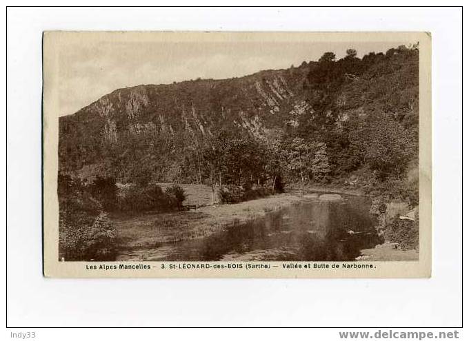 - LES ALPES MANCELLES . ST-LEONARD-DES-BOIS . VALLEE ET BUTTE DE NARBONNE . - Saint Leonard Des Bois