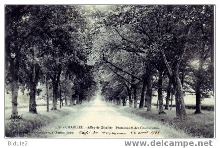 Allee De Gateliers   Promenades Des  Charliendins - Charlieu