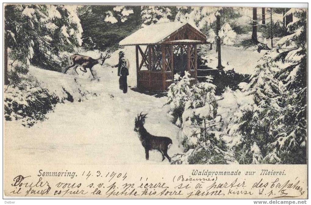 _P824: SEMMERING WALDPROMENADE Zur Meierei - Sonstige & Ohne Zuordnung