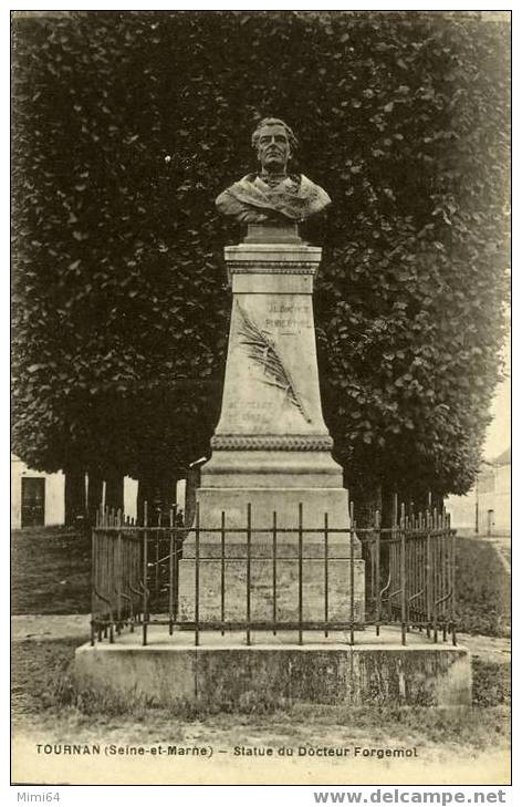 77 . TOURNAN .  LE MONUMENTDU DOCTEUR FORGEMOL ERIGE EN 1887 PLACE DU CHATEAU . - Tournan En Brie