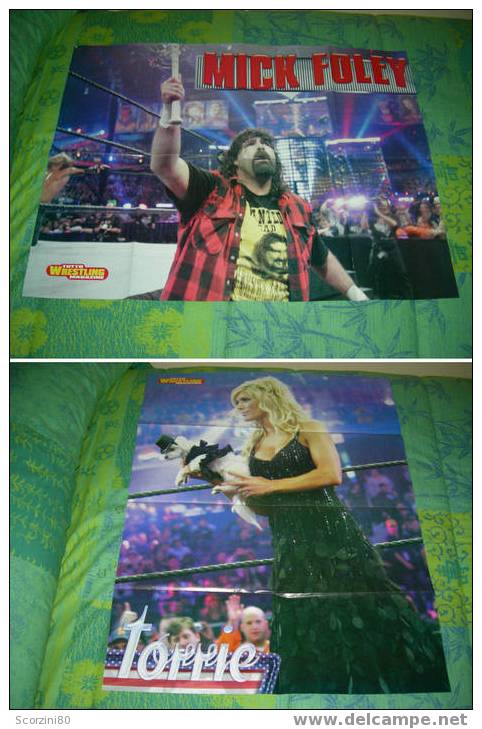 WWE Poster Mick Foley Torrie Wilson WRESTLING - Apparel, Souvenirs & Other