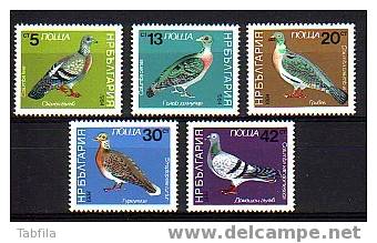 BULGARIA \ BULGARIE - 1984 - Pigeons Et Colombes - 5v** - Pigeons & Columbiformes
