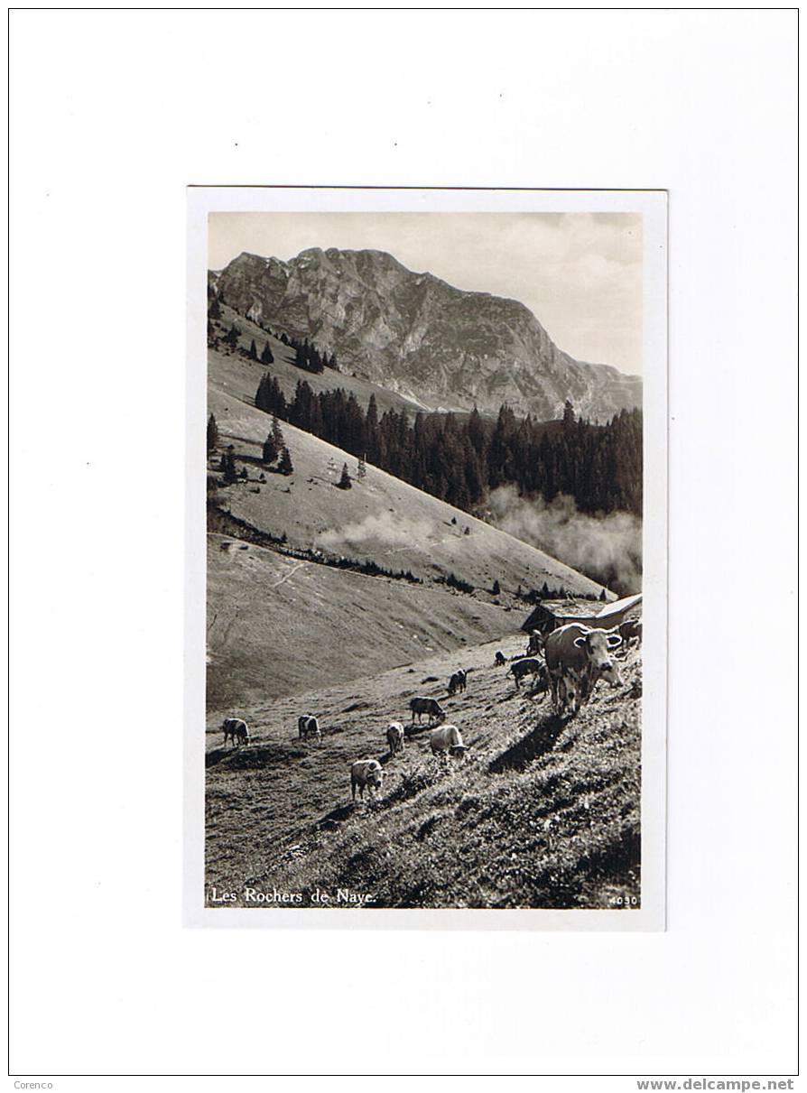 CH     L 3   Les Rochers De Naye  Non écrite - Roche