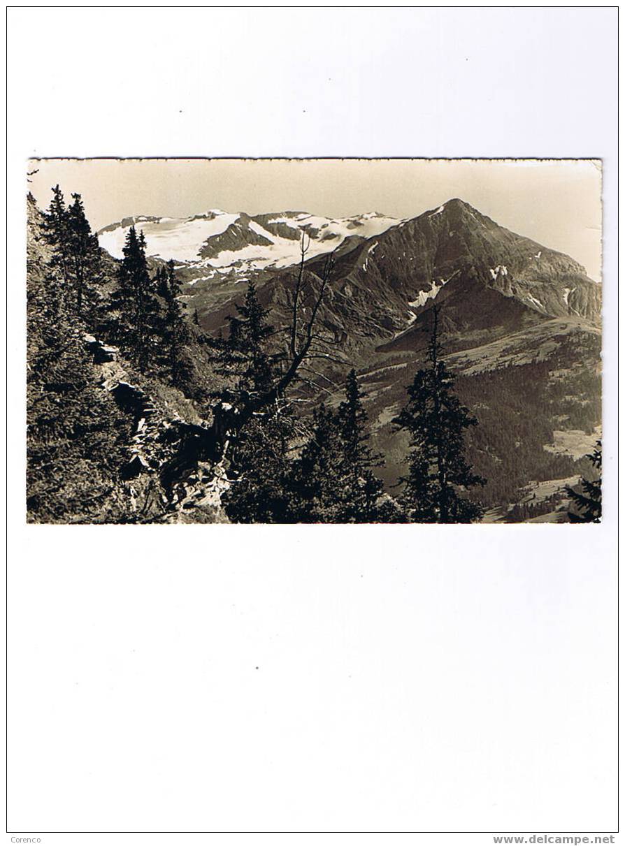 CH     L 9  Spitzhorn  Circulée  1961 - Horn