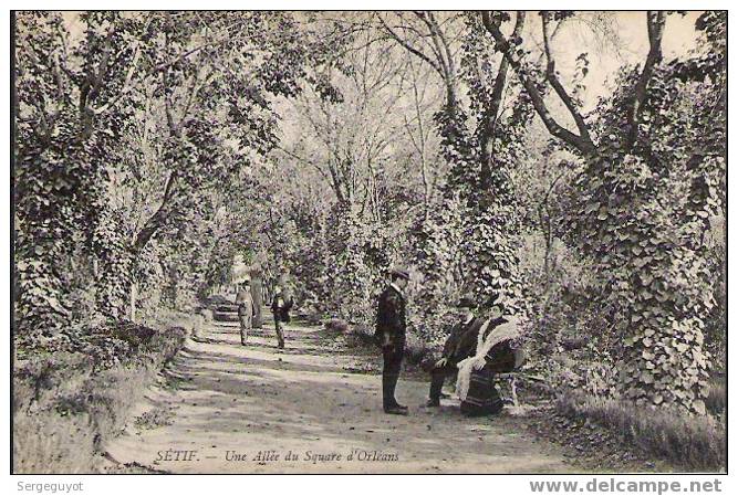 Sétif : Une Allée Du Jardin D´Orléans - (c1083) - Sétif