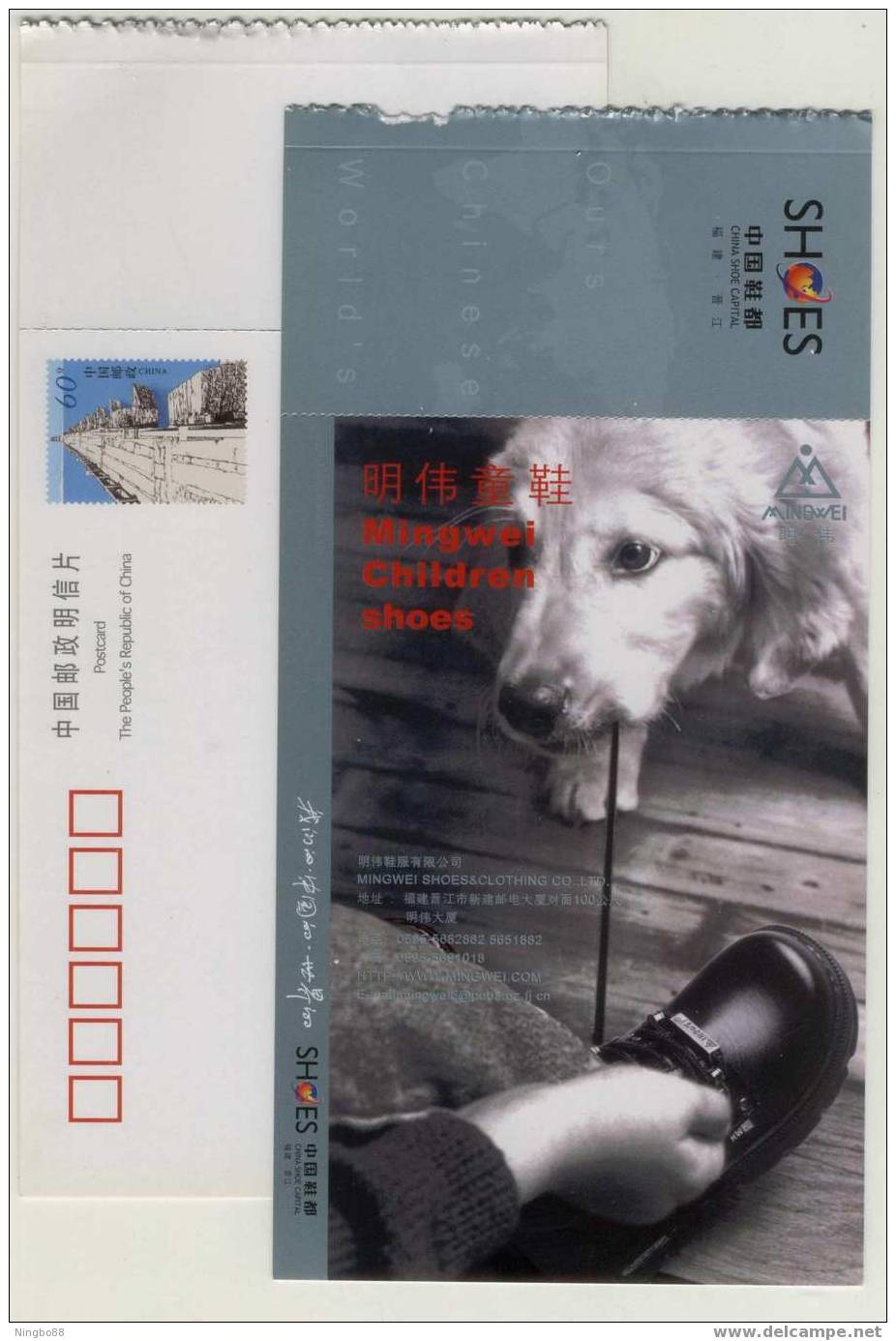 Children Shoes,Pet Dog,China 2001 Jingjiang Shoes Industry Mingwei Children Shoes Advertising Postal Stationery Card - Dogs