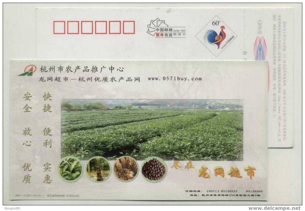 Tea Field,Honeybee,bee,China 2005 Hangzhou High Quality Agriculture Product Website Advertising Postal Stationery Card - Other & Unclassified