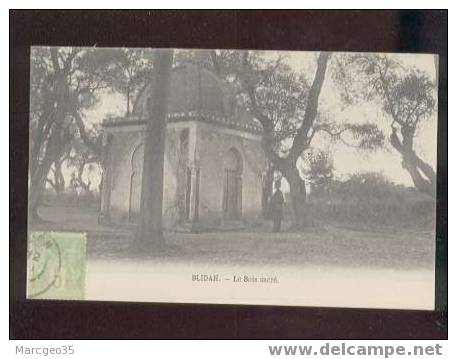 010590 Blidah Le Bois Sacré Pas D'édit.(CC ?) Belle Carte - Blida