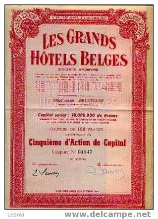 BRUXELLES "Les Grands Hôtels Belges Sa" - 1/5e D´action D Capital - Tourism