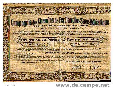 VIENNE "cie Des Chemins De Fer Danube - Save - Adriatique" - Obligation (1923) - Chemin De Fer & Tramway