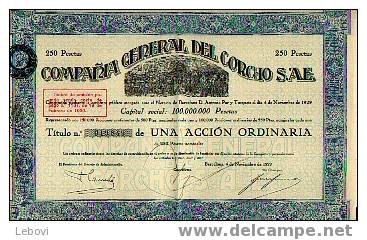 BARCELONE "Compania General Del Corcho S.A.E." (1929) - Titre D´1 Action - Altri & Non Classificati