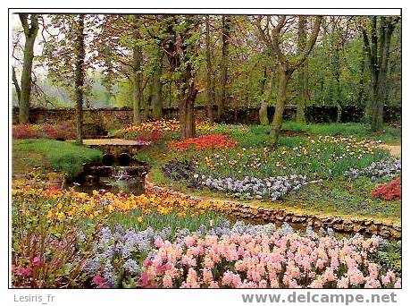 CP - PARC FLORAL DU CHATEAU DE DAMPIERRE - FLORAISON PRINTANIERE - Dampierre En Yvelines