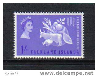 11 - FALKLAND , Freedom From Hunger : N. 140  *** - Against Starve