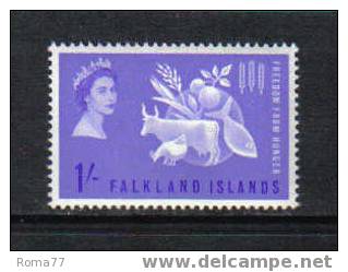 11 - FALKLAND , Freedom From Hunger : N. 140  *** - Tegen De Honger