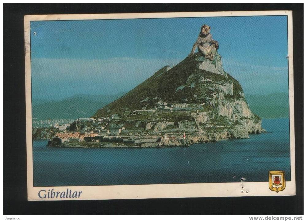 GIBRALTAR Postcard UNITED KINGDOM - Gibraltar
