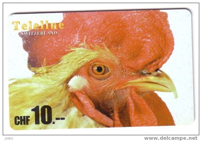 COQ ( Switzerland Telleline Rare Card ) - Rooster - Cock – Weathercock – Hahn – Gallo – Rubinetto - Volaille - Poulet - Gallinaceans & Pheasants