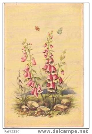 PAPILLONS Et Fleurs/ CPSM Belge (format Cpa) Circulée 1968/Etat Correct - Schmetterlinge