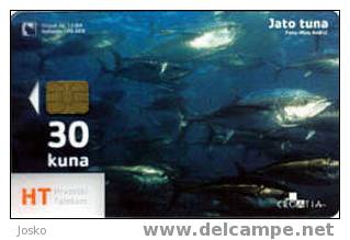 TRANSPARENT Card JATO TUNA ( Croatia ) - Undersea - Underwater - Fish - Poisson - Fisch - Pez - Pesci (transparente Card - Croacia