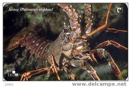 PALINURUS (Croatia) Lobster - Homard - Hummer - Centollo - Aragosta * Crab - Crabe - Krabbe - Cangrejo - Granchio Jastog - Croatie