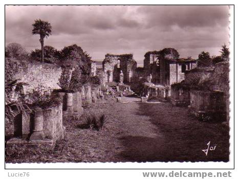 LANDEVENNEC - Abbaye Saint GUENOLE  -  N° 1342  -  Les Ruines De L´Eglise Abbatiale Du XIè S. Dans Le Choeur Se Trouve - Landévennec