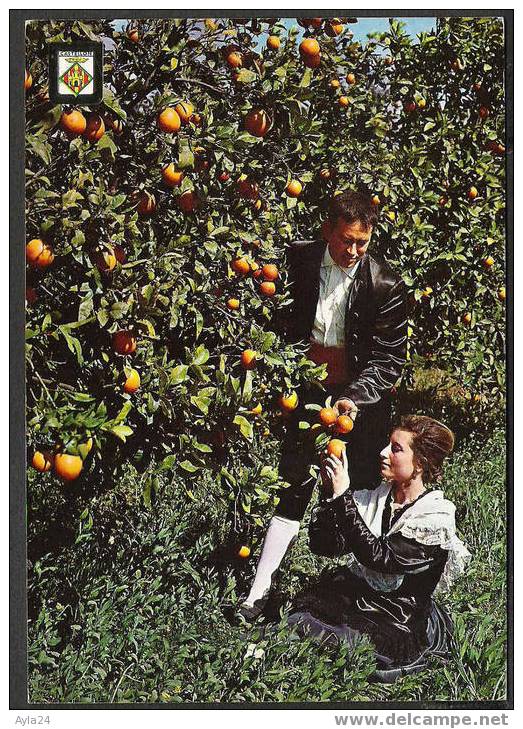 CPSM 1971   Castellon De La Plana  Costume Typique  Récolte Des Oranges  Orangeraie - Castellón