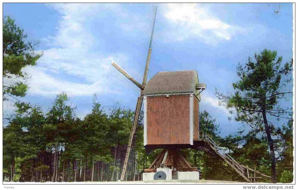 Kasterlee - Standaard Molen - Kasterlee