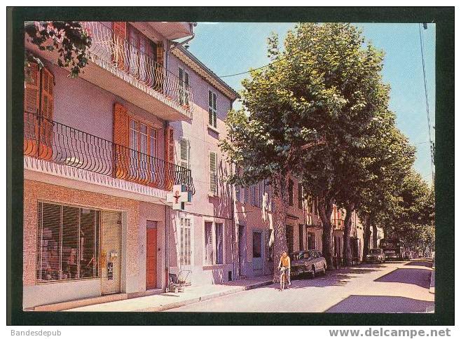 COLLOBRIERES - Boulevard Lazare Carnot ( Pharmacie Automobile Peugeot 404  Cycliste Vélo Edit. TARDY ) - Collobrieres