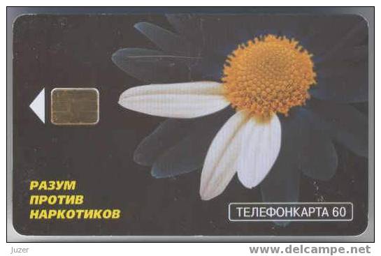 Russia. Moscow. MGTS 1999: Reason Against Drugs, Camomile - Russia