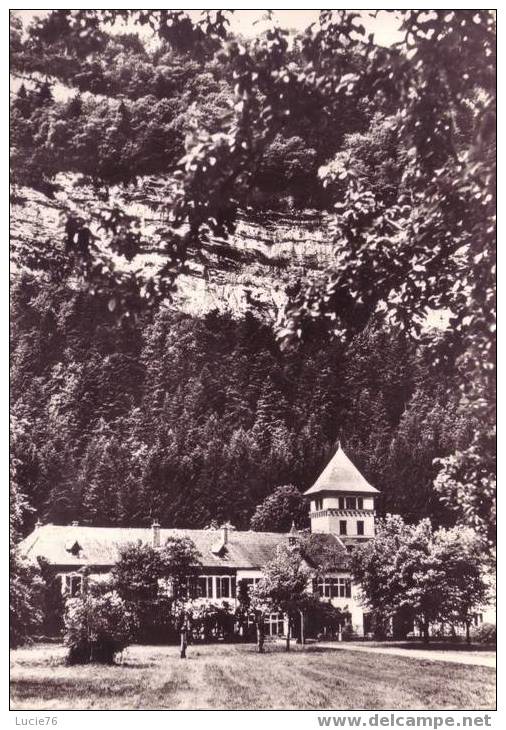 NANTUA   -     N° 650   -    Le Château De Pradon - Nantua