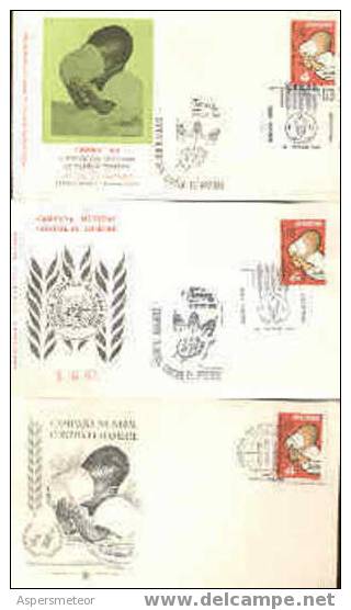 LUTTE CONTRE LA FAIM FDC ARGENTINA 3 CARDS 3 ENVELOPPES TOUTES DIFFERENTES REMIERE JOUR D ´ EMISSION 1963 - Contre La Faim